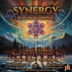 Feb 6, 2024 Synergy