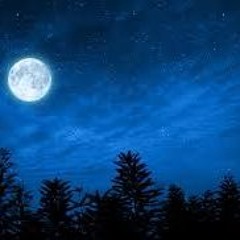 Midnight (4:37 AM)