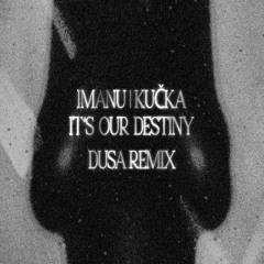 IMANU & KUČKA - It's Our Destiny (DUSA Remix)
