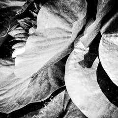 kittin - grace (nanotekno edit)