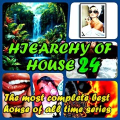 A SUMMER of SEX, DRUGS & HOUSE MUSIC the ALL TIME BEST OF CLASSIC SERIES HIEARCHY OF HOUSE vol.24