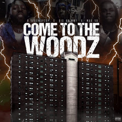 COME TO THE WOODZ feat Maxyb & Bigkrimmy