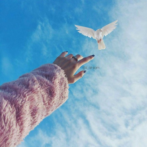 حَيَـاتکَ بِالفأْل شَئٌ جَميـل تَبَسَّمْ لتُدرک مَعْنىٰ الحَيَـاة | 💚