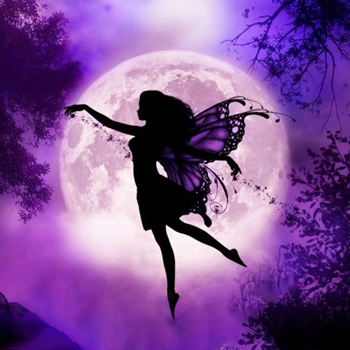 STBB | 908 -Fairy Lullaby- (3rd)