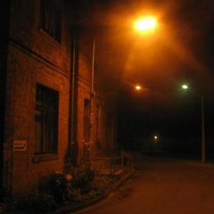 empty city after virsa take all human