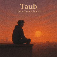 Taub (prod. Txmmy Beats)