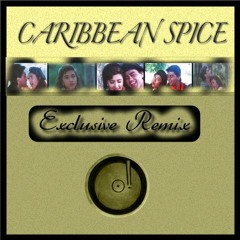 Caribbean Spice - Tum Ko Hai Remix