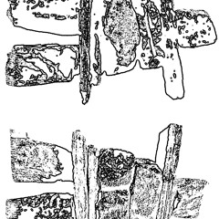 219/20E2