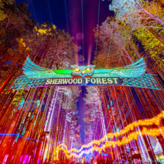 Of The Trees @ Electric Forest 2025 Full Set