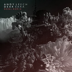 Andy Leech - Dear Sara... (NDNL Remix)