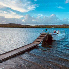 Review Special Price 1hour Bioluminescent Boat Tour In Mosquito Bay Vieques