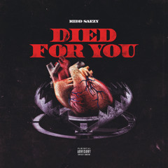 Died For You (prod.  yngflam)