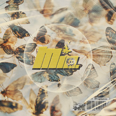Morpho Set (ENDSTUFE 2/3)