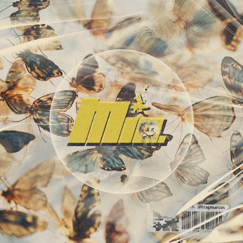 Morpho Set (ENDSTUFE 2/3)