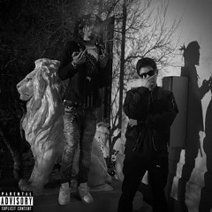 Vengeance (Feat. $melly)