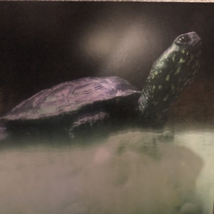 DJ Metatron – bonsai