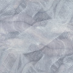 Rosa Pajaro - Memory
