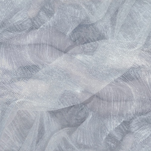 Rosa Pajaro - Memory