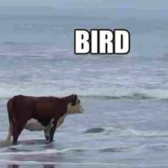 18.03.26 At the end of the long day