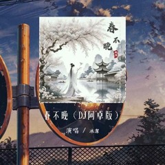 冰洁 - 春不晚（DJ阿卓版）「姑娘 一句春不晚 痴儿 留在真江南」【動態歌詞/pīn yīn gē cí】#冰洁 #春不晚 #動態歌詞
