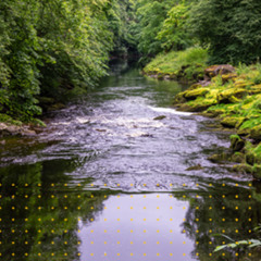 Festival of Nature | Bristol Distinguished Address Series