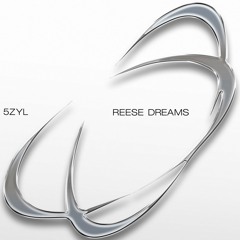 OUT NOW: 5ZYL – Reese Dreams LP [PZREC009]