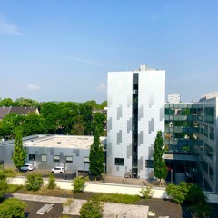 Schicha's Pitter - Endless Summer