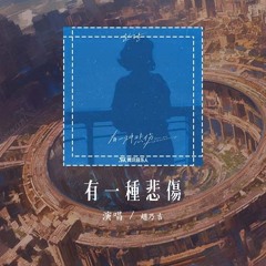 赵乃吉 - 有一种悲伤「有一种悲伤 是你的名字停留在我的过往」【動態歌詞/Lyrics Video】#赵乃吉 #有一种悲伤 #動態歌詞