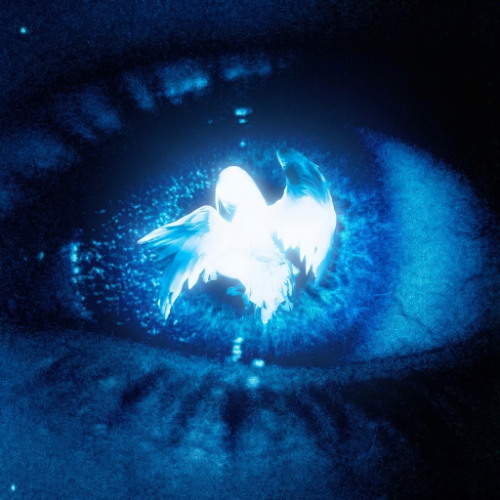 CLARITY (AGARTHA HARDSTYLE)
