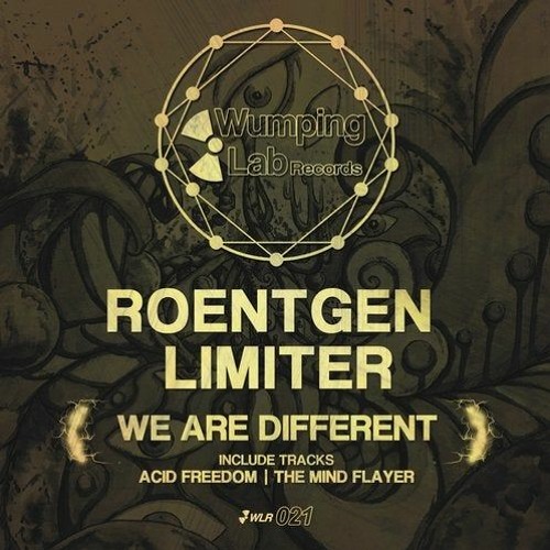 Roentgen Limiter - Acid Freedom (Original Mix)