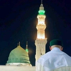 لي في المدينة أحباب إذا نظروا إليَّ ولت همومي وانجلى الضرر - السيد أبو بكر العطاس .m4a