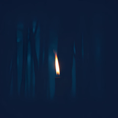 Darkness Leads The Way