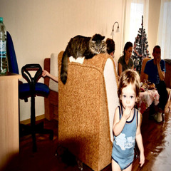 бurn it out (p. flextrik)