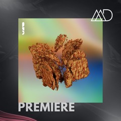 PREMIERE: Ohm Vision & Ben Beckman - My Things [Square Noise Records]