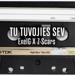 Tu Tuvojies Sev (Remix)