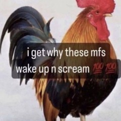 G.L.R #Néo-Pop +neverhated+