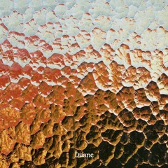 O MATO Tapes - 019 - Duane