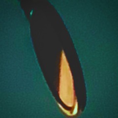 EFIII - Emil Holmsten (Ntrospect)