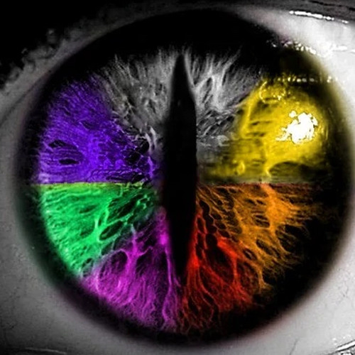 So You Think You’re A Badass