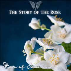 "Star of Jasmine" (preview) - the Story of the Rose - OUT NOW