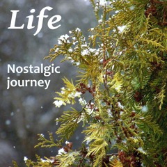 Nostalgic Journey