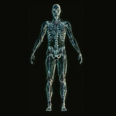 Body Scan - Mindfulness for Museums