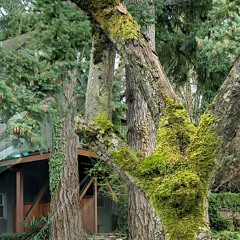 been through prod exhaleruntz