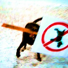 TONGUE (SHIT-PITCHED)