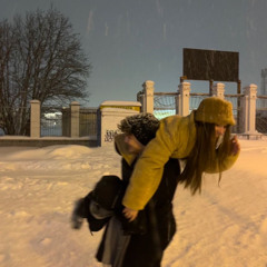 Snow dome (noteReal)