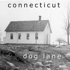 Connecticut - Dog lane