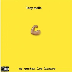 Tony mello - flex