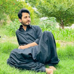 M shafi esar shaista gazal