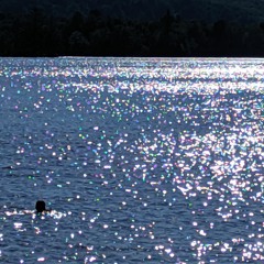 Freehand [2020.08.07] Airplane Mode