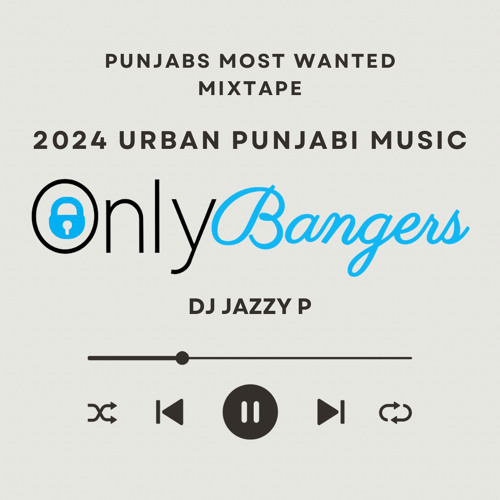 ONLY BANGERS - PUNJABI VIBES MIX